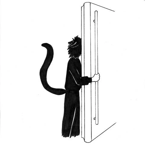 Иллюстрация к книге — Приключения Фыси [book-illustration-20.webp]