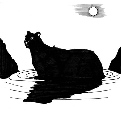 Иллюстрация к книге — Приключения Фыси [book-illustration-26.webp]
