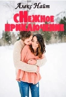 Книга Снежное приключение
