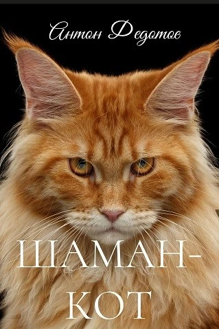 Книга Шаман-Кот