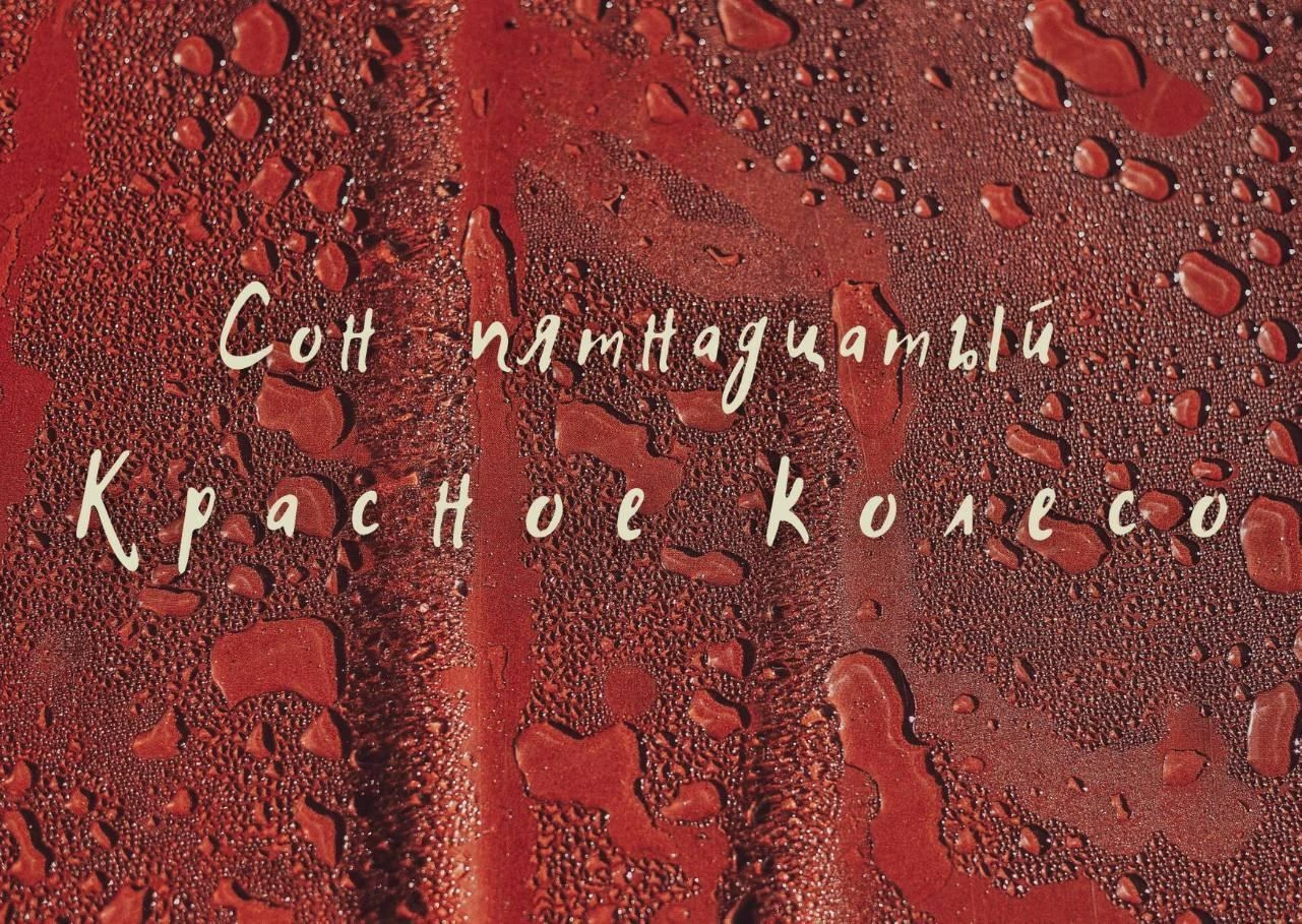 Иллюстрация к книге — Волк в ее голове [book-illustration-25.webp]