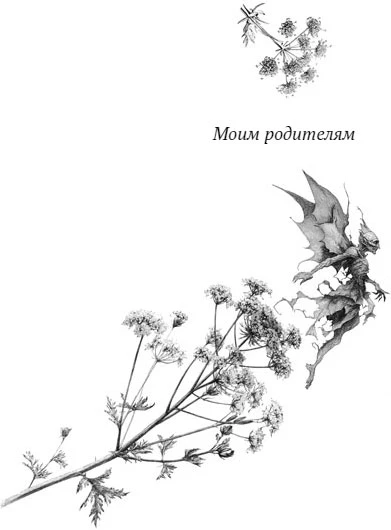 Иллюстрация к книге — В моем болоте утонула ведьма [book-illustration-2.webp]