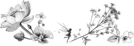 Иллюстрация к книге — В моем болоте утонула ведьма [book-illustration-4.webp]