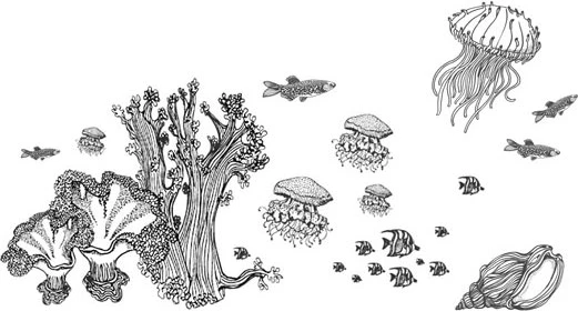 Иллюстрация к книге — Стон океана [book-illustration-26.webp]