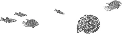 Иллюстрация к книге — Стон океана [book-illustration-6.webp]