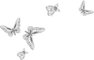 Иллюстрация к книге — Любовь всей моей смерти. Том 2 [book-illustration-28.webp]