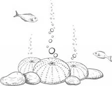 Иллюстрация к книге — Стань светом в темном море. Том 4 [book-illustration-11.webp]