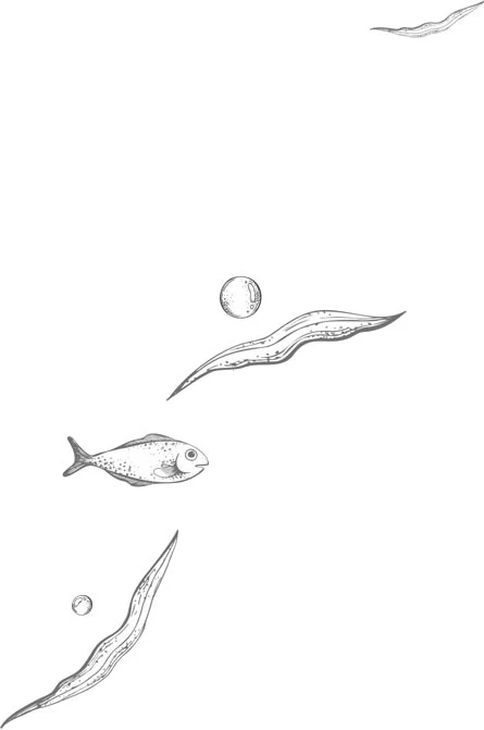 Иллюстрация к книге — Стань светом в темном море. Том 4 [book-illustration-2.webp]