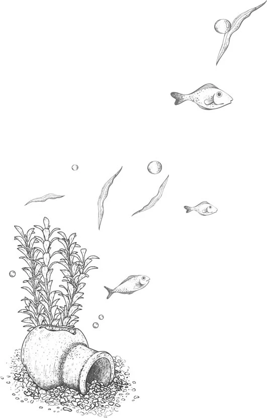 Иллюстрация к книге — Стань светом в темном море. Том 4 [book-illustration-3.webp]