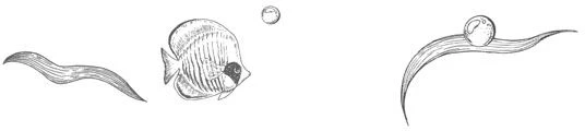Иллюстрация к книге — Стань светом в темном море. Том 3 [book-illustration-14.webp]