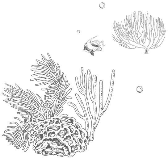 Иллюстрация к книге — Стань светом в темном море. Том 3 [book-illustration-15.webp]