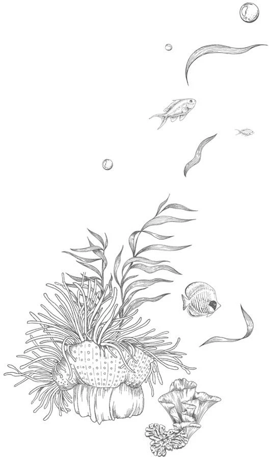 Иллюстрация к книге — Стань светом в темном море. Том 3 [book-illustration-2.webp]