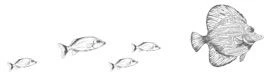 Иллюстрация к книге — Стань светом в темном море. Том 3 [book-illustration-31.webp]