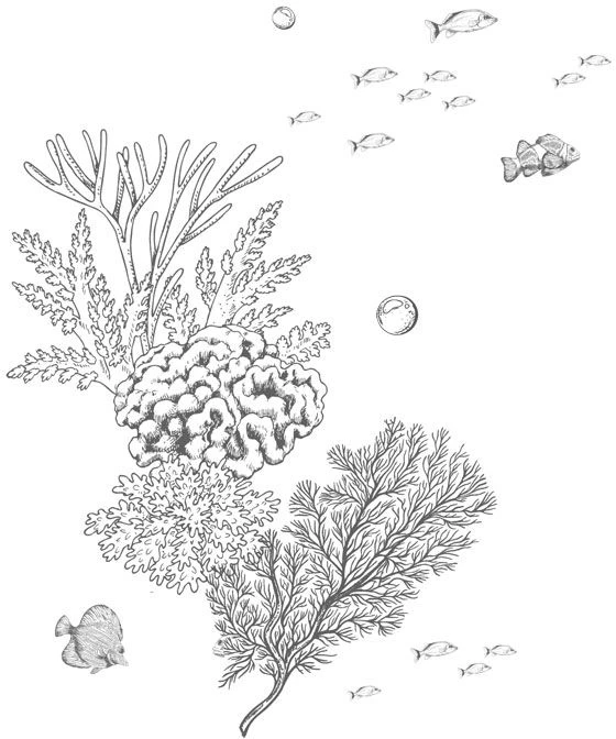 Иллюстрация к книге — Стань светом в темном море. Том 3 [book-illustration-40.webp]