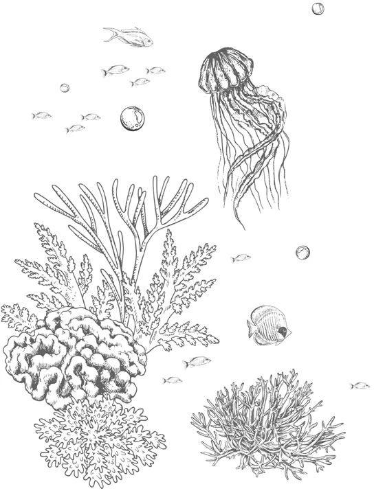 Иллюстрация к книге — Стань светом в темном море. Том 3 [book-illustration-6.webp]