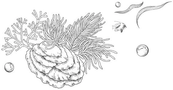 Иллюстрация к книге — Стань светом в темном море. Том 3 [book-illustration-60.webp]