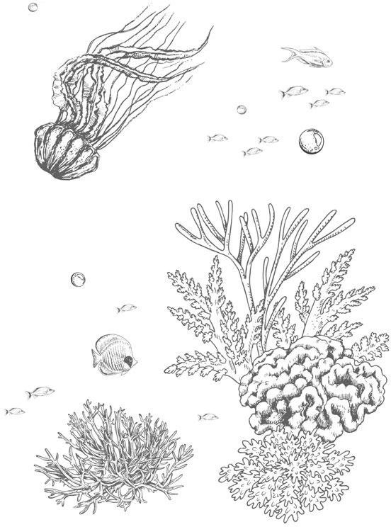 Иллюстрация к книге — Стань светом в темном море. Том 3 [book-illustration-63.webp]