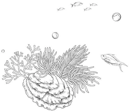 Иллюстрация к книге — Стань светом в темном море. Том 3 [book-illustration-67.webp]