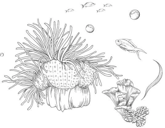 Иллюстрация к книге — Стань светом в темном море. Том 3 [book-illustration-70.webp]