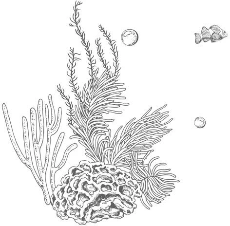 Иллюстрация к книге — Стань светом в темном море. Том 3 [book-illustration-72.webp]