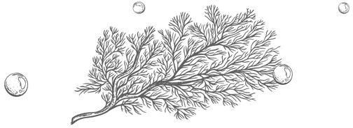 Иллюстрация к книге — Стань светом в темном море. Том 3 [book-illustration-79.webp]
