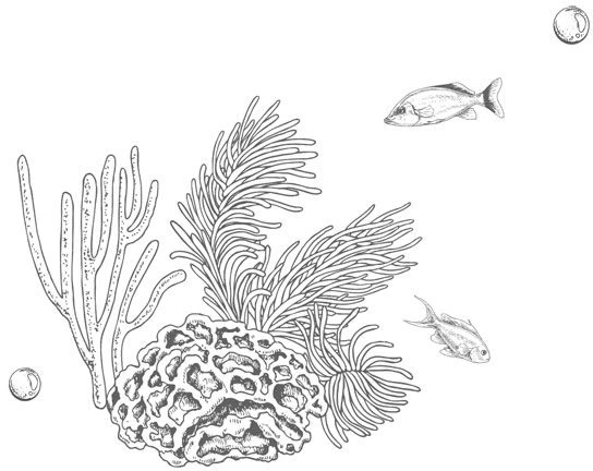 Иллюстрация к книге — Стань светом в темном море. Том 3 [book-illustration-92.webp]