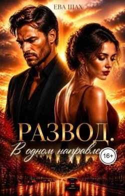 Книга Развод. В одном направлении