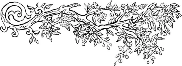 Иллюстрация к книге — Посмотри, наш сад погибает [book-illustration-5.webp]