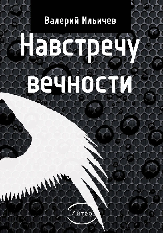 Книга Навстречу Вечности