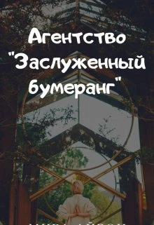 Книга Агентство "Заслуженный бумеранг"
