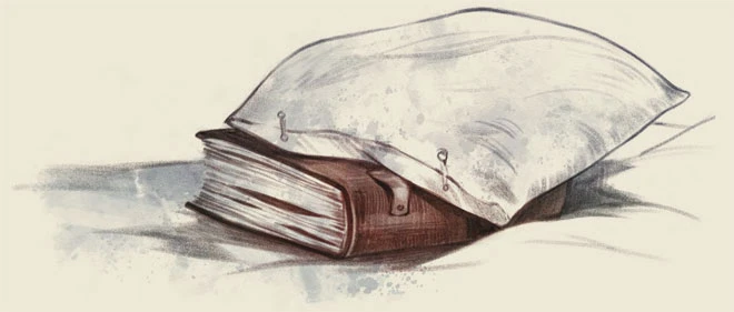 Иллюстрация к книге — Школа дорог и мостов [book-illustration-28.webp]