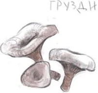Иллюстрация к книге — Школа дорог и мостов [book-illustration-5.webp]