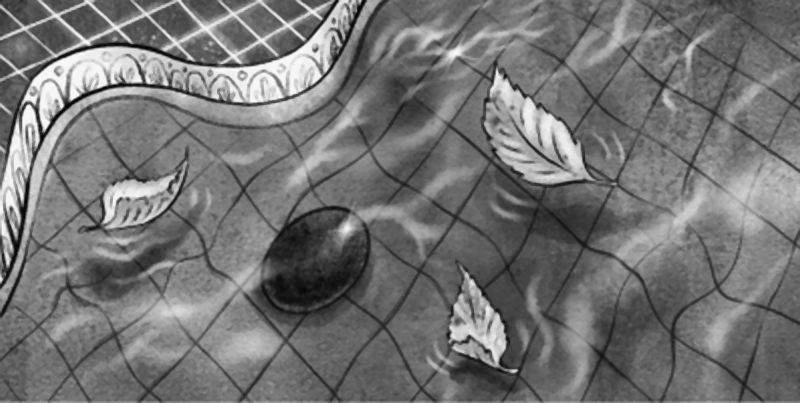 Иллюстрация к книге — Друг с далёкой планеты [book-illustration-25.webp]