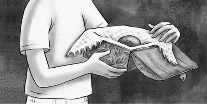 Иллюстрация к книге — Друг с далёкой планеты [book-illustration-35.webp]