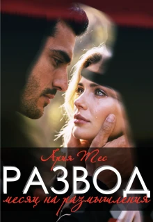 Книга Развод. Месяц на размышления