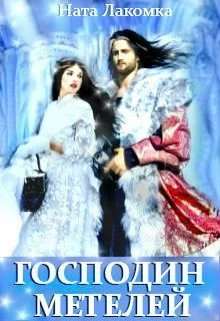 Книга Господин метелей