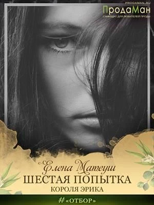 Книга Шестая попытка короля Эрика