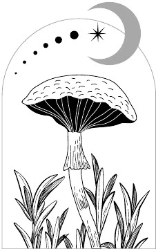 Иллюстрация к книге — Сумрачный лес [book-illustration-1.webp]