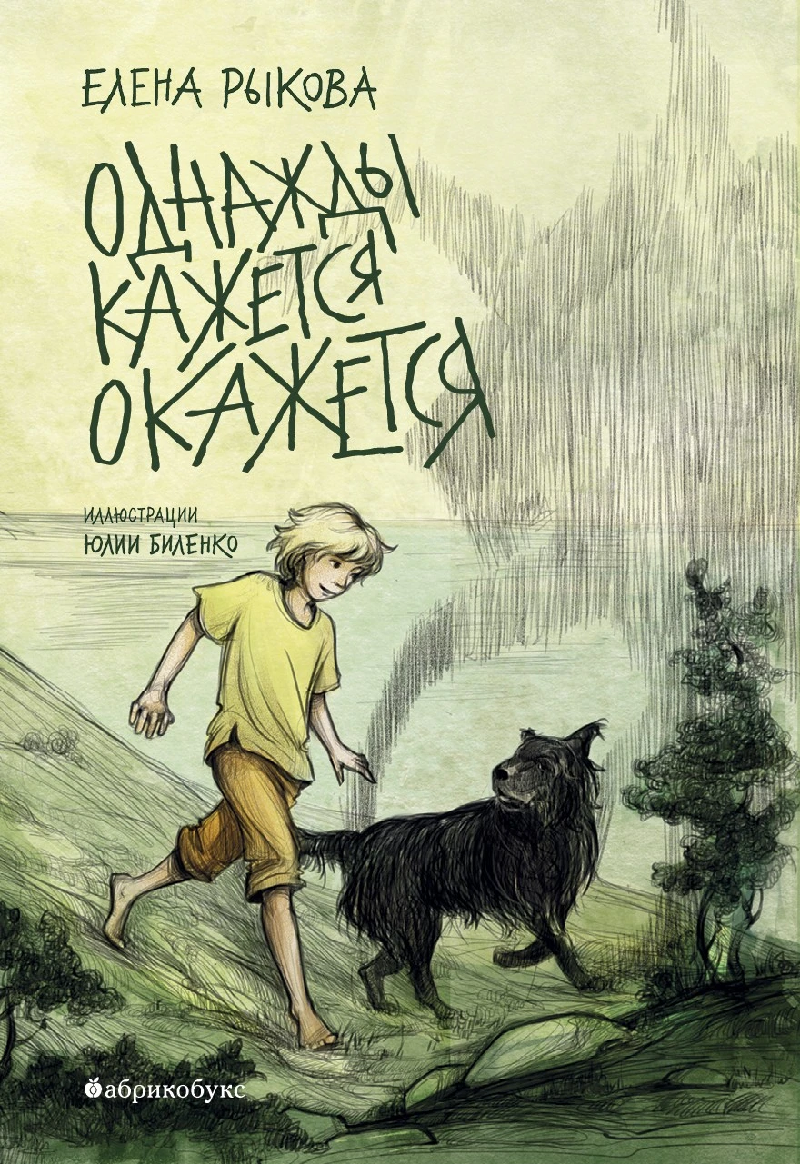 Книга Однажды кажется окажется