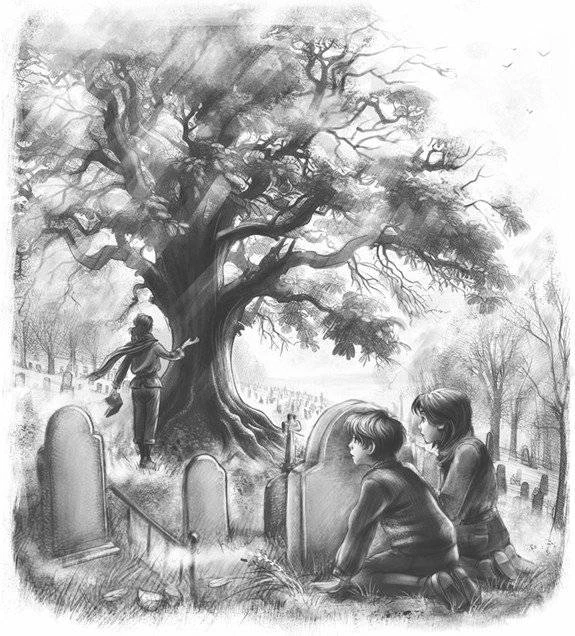 Иллюстрация к книге — Тайна старого каштана [book-illustration-30.webp]