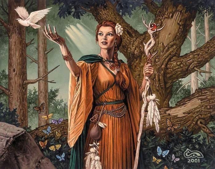 Иллюстрация к книге — Княжич [book-illustration-11.webp]
