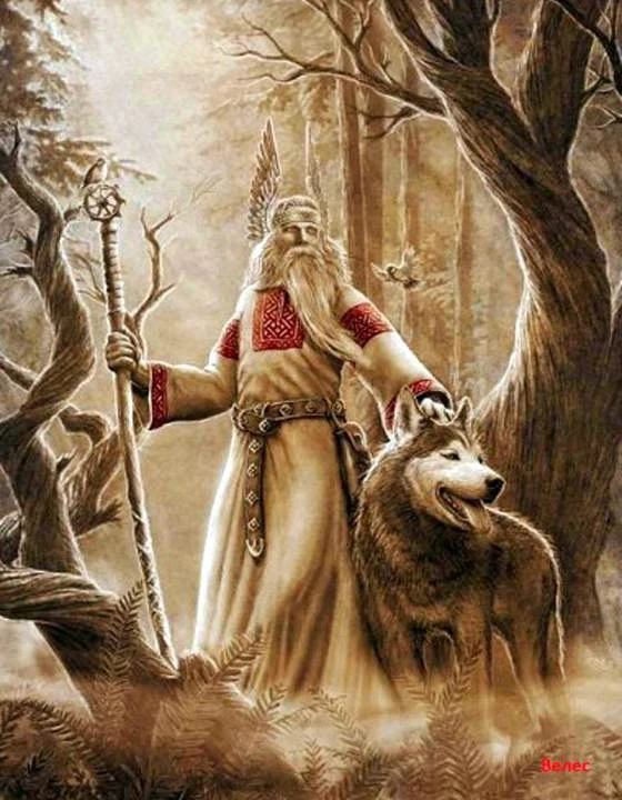 Иллюстрация к книге — Княжич [book-illustration-6.webp]