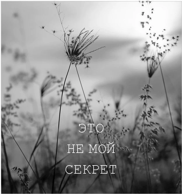 Иллюстрация к книге — Маленькая невинная ложь [book-illustration-11.webp]