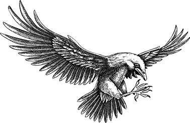 Иллюстрация к книге — Горицвет [book-illustration-5.webp]