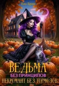 Книга Ведьма без принципов, некромант без тормозов