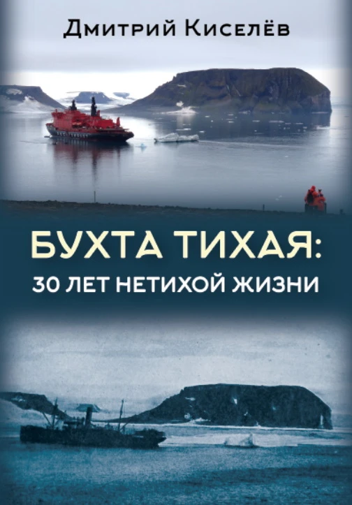 Книга Бухта Тихая. 30 лет нетихой жизни