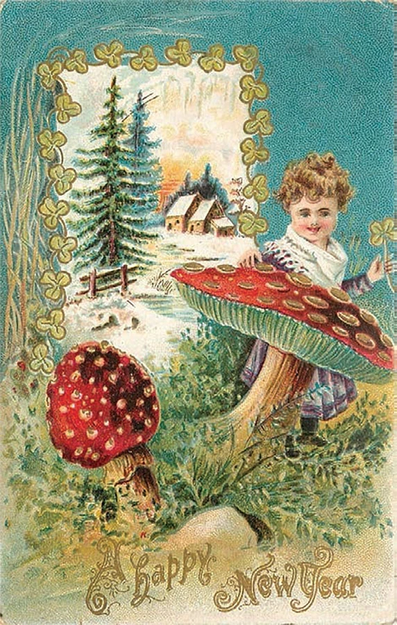Иллюстрация к книге — Новый год и Рождество. Волшебная история зимнего праздника от древности до наших времён [book-illustration-128.webp]