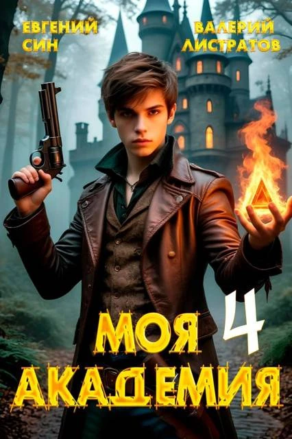 Книга Моя Академия 4