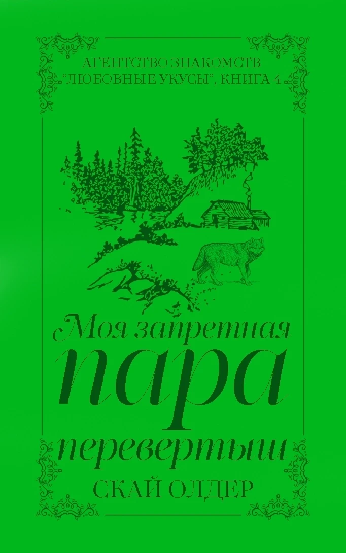 Книга Моя запретная пара-перевертыш